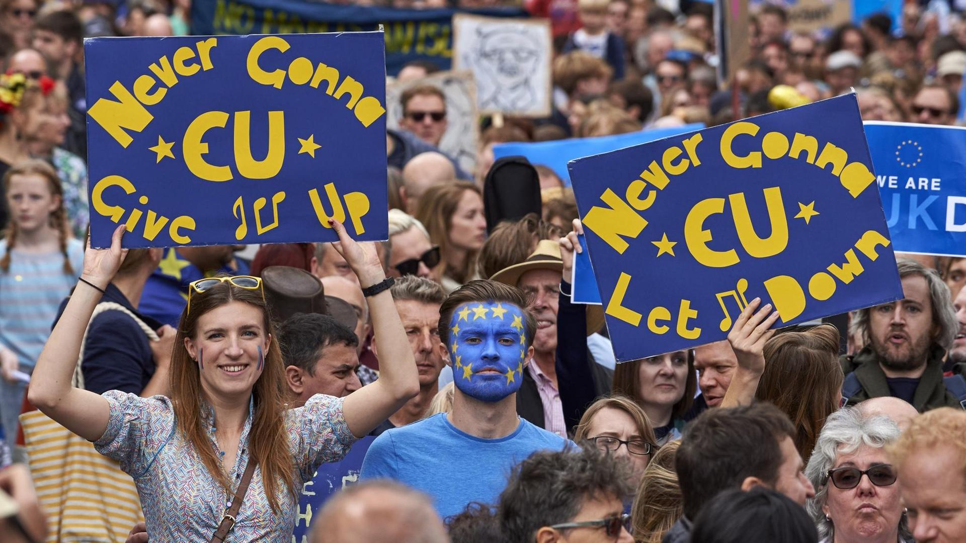 Menschen halten bei einem Protest gegen das Brexitreferendum in London Pro-Europa-Plakate hoch. Menschen halten bei einem Protest gegen das Brexitreferendum in London Pro-Europa-Plakate hoch.