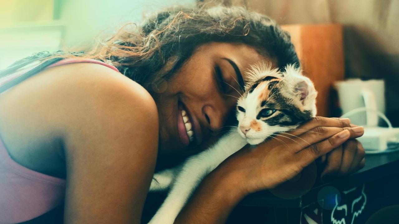 Eine Frau kuschelt mit ihrer Katze. Eine Frau kuschelt mit ihrer Katze.