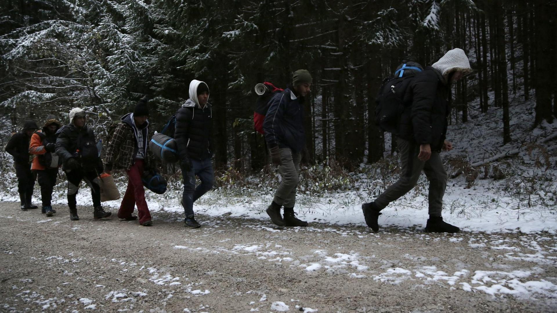 Eine Gruppe Geflüchteter geht durch einen Wald im Plješevica-Gebirge Eine Gruppe Geflüchteter geht durch einen Wald im Plješevica-Gebirge
