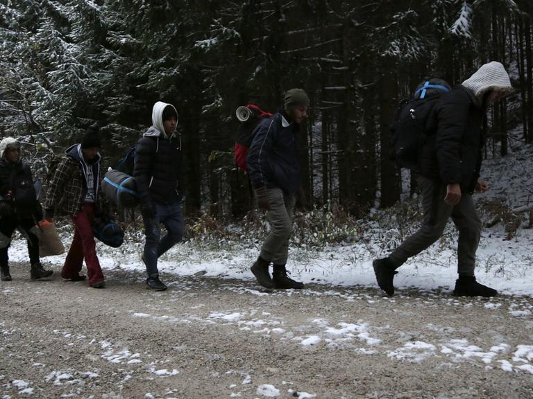 Eine Gruppe Geflüchteter geht durch einen Wald im Plješevica-Gebirge