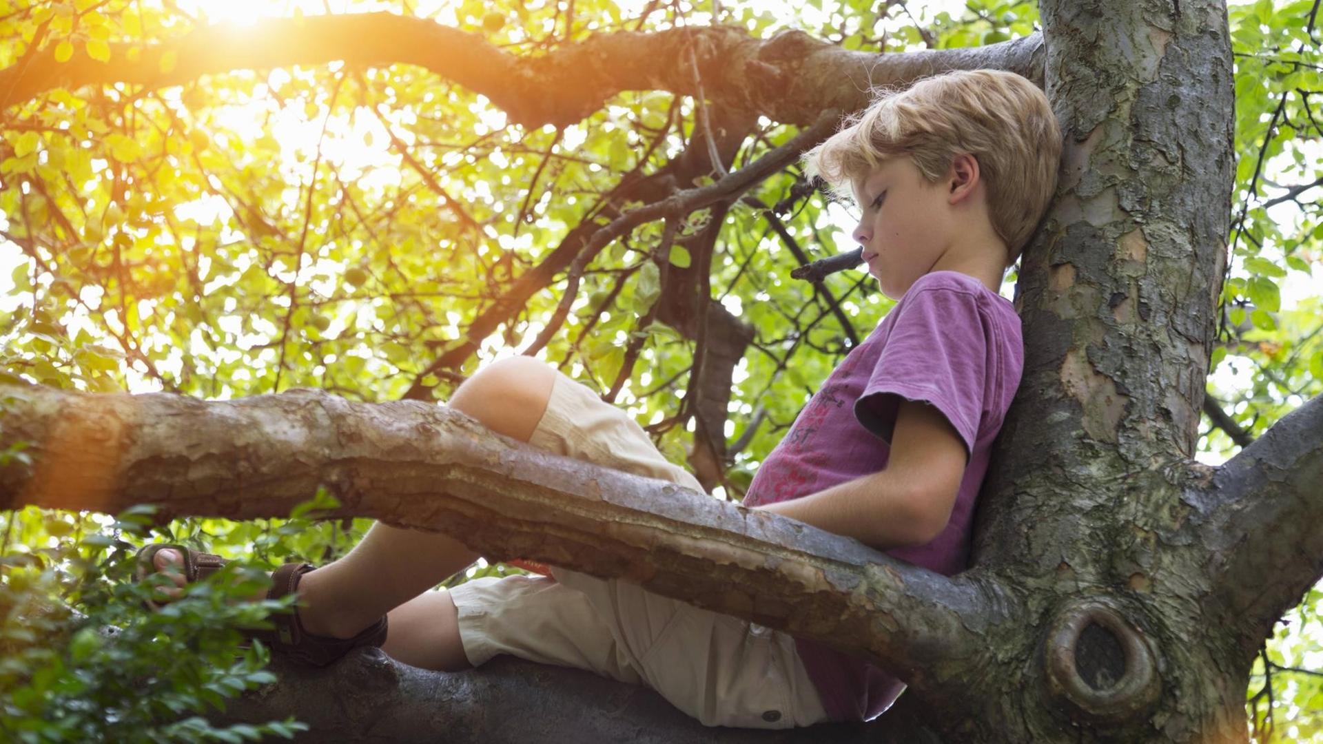 Ein Junge ist auf einen Baum geklettert, um zu lesen