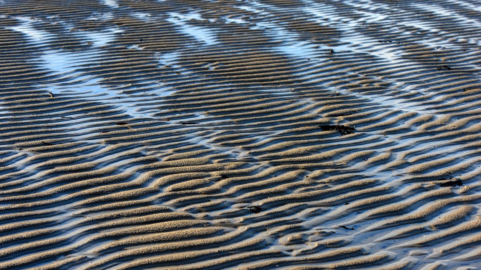 Sandwellen und Restwasser sind bei Ebbe in Nieblum auf der Insel Föhr. Sandwellen und Restwasser sind bei Ebbe in Nieblum auf der Insel Föhr.