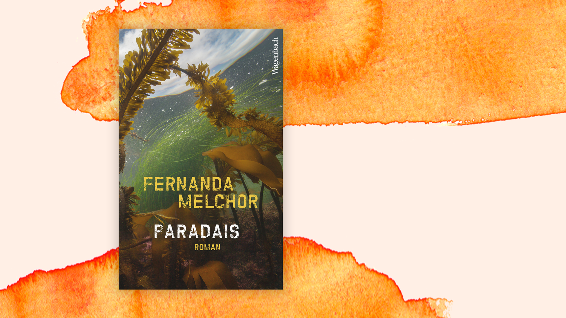 Buchcover Fernanda Melchor: "Paradais" Buchcover Fernanda Melchor: "Paradais"
