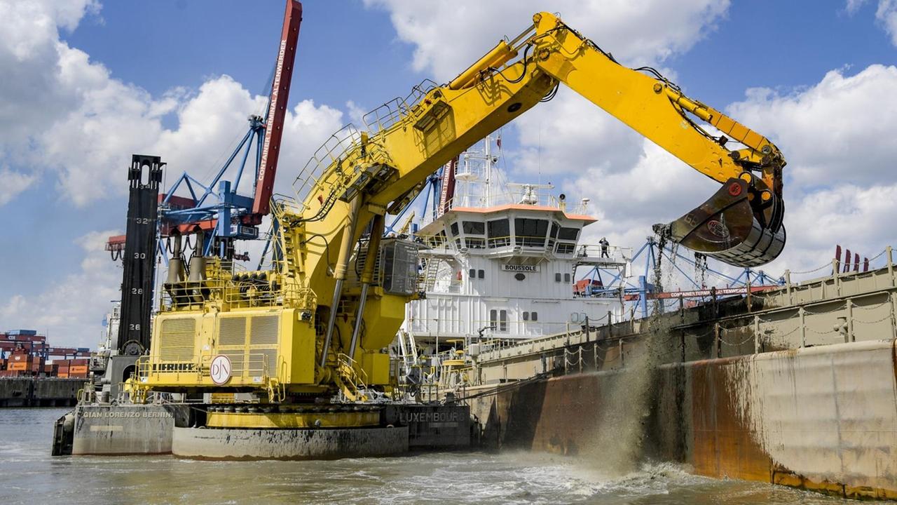 Ein Bagger holt bei Arbeiten zur Elbverteifung Schlick aus einem Hafenbecken. Ein Bagger holt bei Arbeiten zur Elbverteifung Schlick aus einem Hafenbecken.