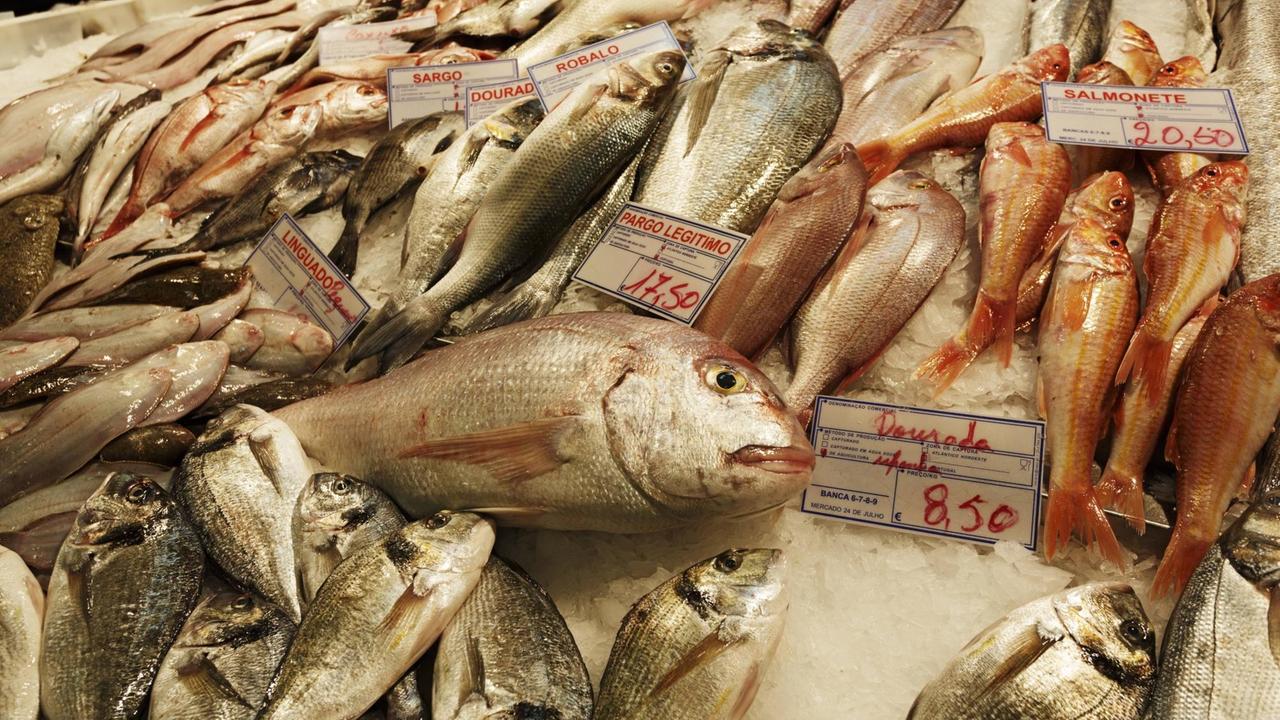 Doraden auf dem Fischmarkt in Lissabon Doraden auf dem Fischmarkt in Lissabon
