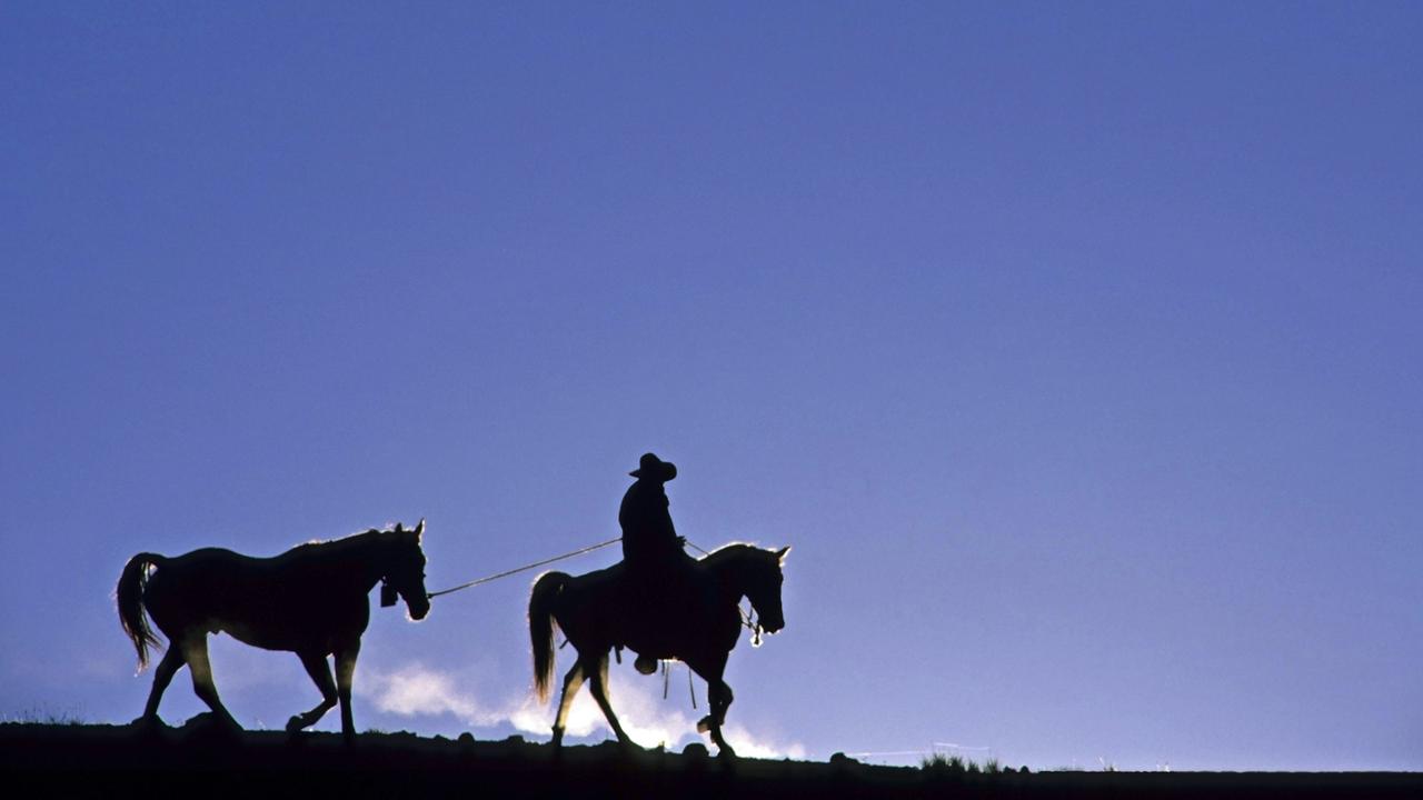 Cowboy mit Pferd im Sonnenuntergang