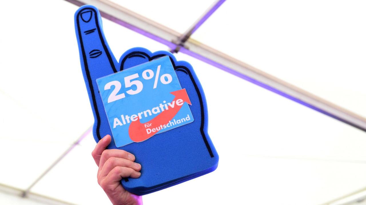 Ein Werbe-Artikel der AfD mit der Aufschrift "25 Prozent" wird am 04.09.2016 in Schwerin (Mecklenburg-Vorpommern) nach der Bekanntgabe der ersten Ergebnisse zu den Landtagswahlen bei der Wahlparty in die Höhe. Ein Werbe-Artikel der AfD mit der Aufschrift "25 Prozent" wird am 04.09.2016 in Schwerin (Mecklenburg-Vorpommern) nach der Bekanntgabe der ersten Ergebnisse zu den Landtagswahlen bei der Wahlparty in die Höhe.
