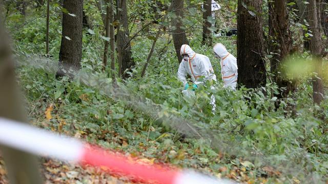 Hamburg: Mitarbeiter einer von der Umweltbehörde beauftragten Spezialfirma nehmen in Schutzanzügen Proben im Naturschutzgebiet Boberger Niederung.