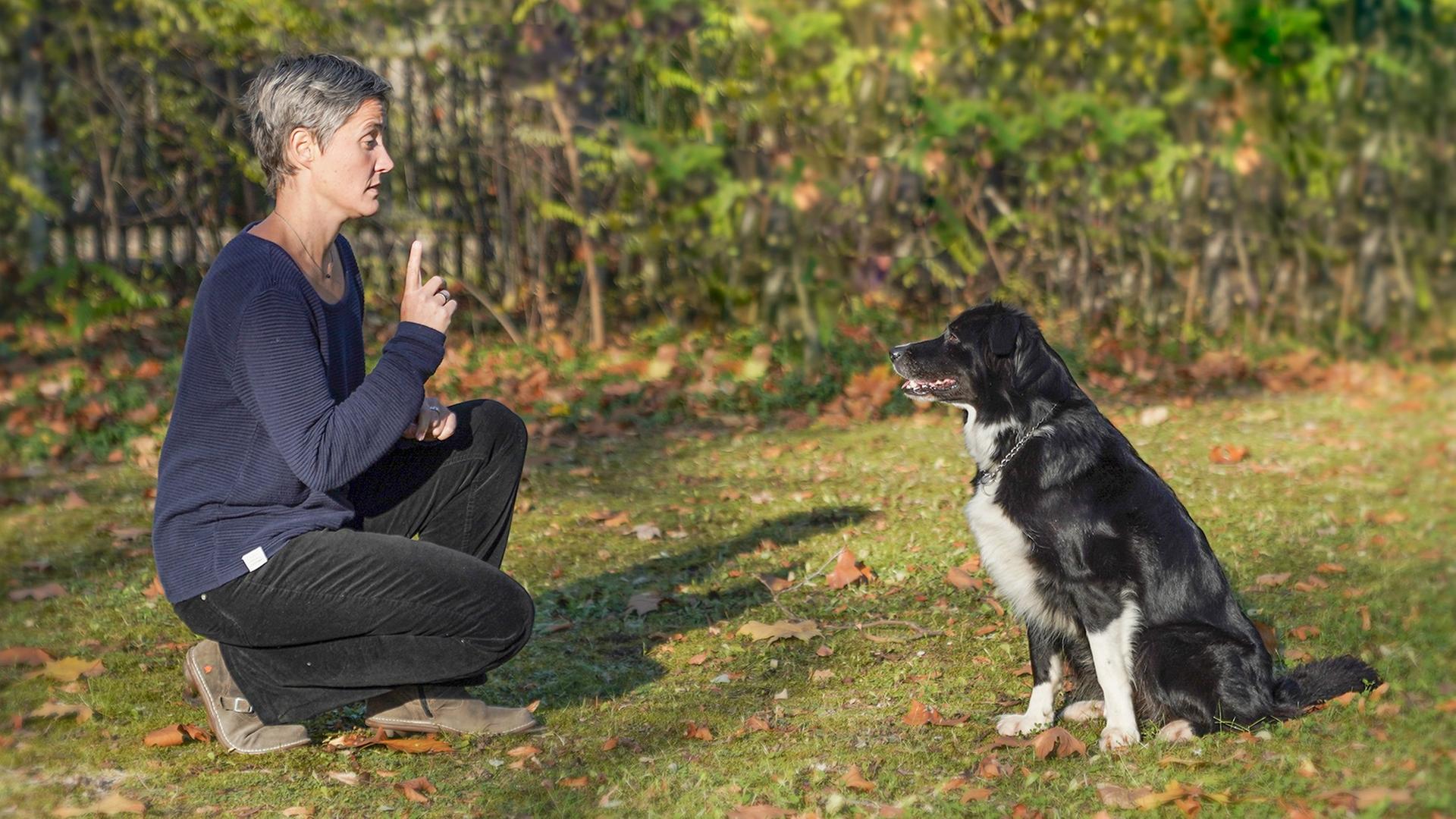 Eine Person sitzt auf einer Weise mit einem erhobenen Zeigefinger gegenüber einem Hund.