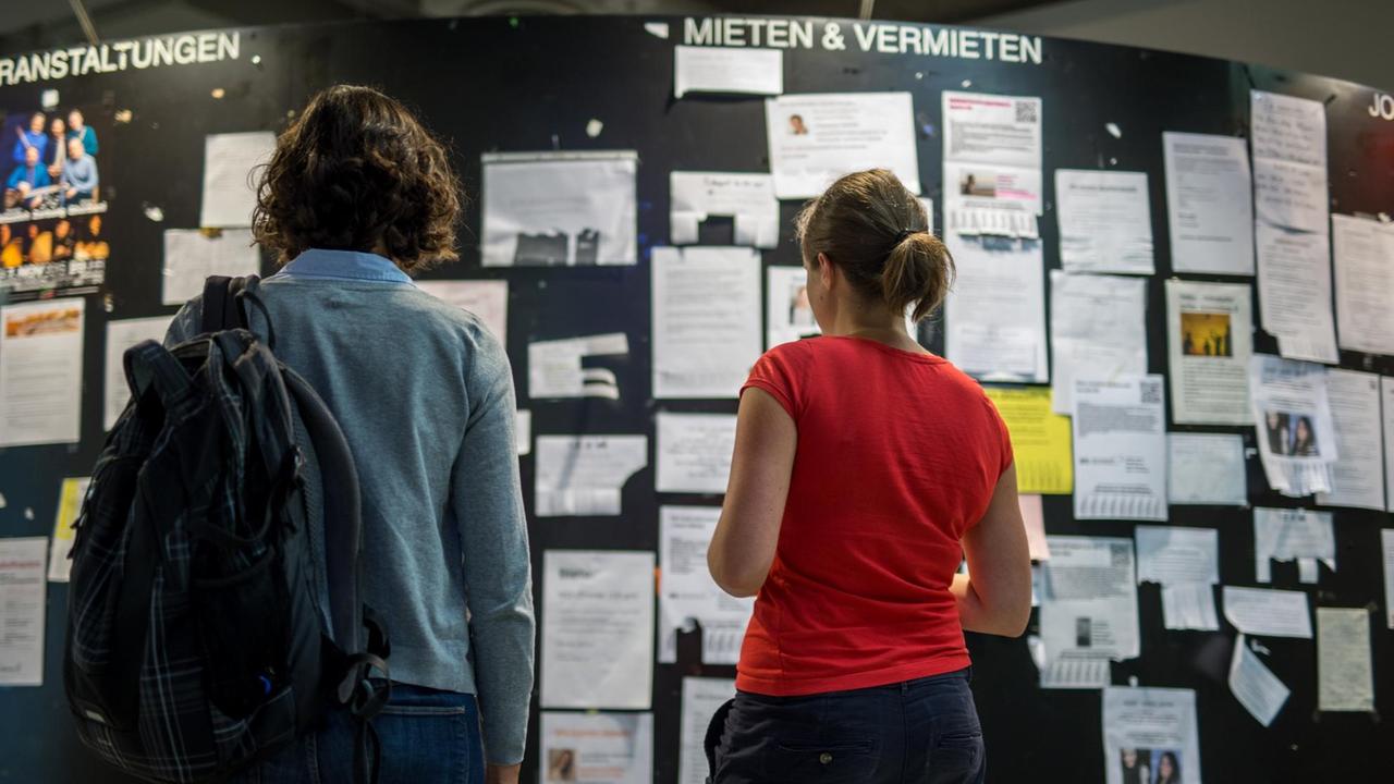 Zwei Studentinnen betrachten am 18.09.2015 die Wohnungsanzeigen am Schwarzen Brett in der Mensa der Ludwig-Maximilians-Universität in München (Bayern). Foto: Matthias Balk/dpa (zu dpa "WG, Wohnwürfel oder Hotel Mama: So wohnen Studenten in Deutschland" vom 26.09.2015) | Verwendung weltweit Zwei Studentinnen betrachten am 18.09.2015 die Wohnungsanzeigen am Schwarzen Brett in der Mensa der Ludwig-Maximilians-Universität in München (Bayern). Foto: Matthias Balk/dpa (zu dpa "WG, Wohnwürfel oder Hotel Mama: So wohnen Studenten in Deutschland" vom 26.09.2015) | Verwendung weltweit
