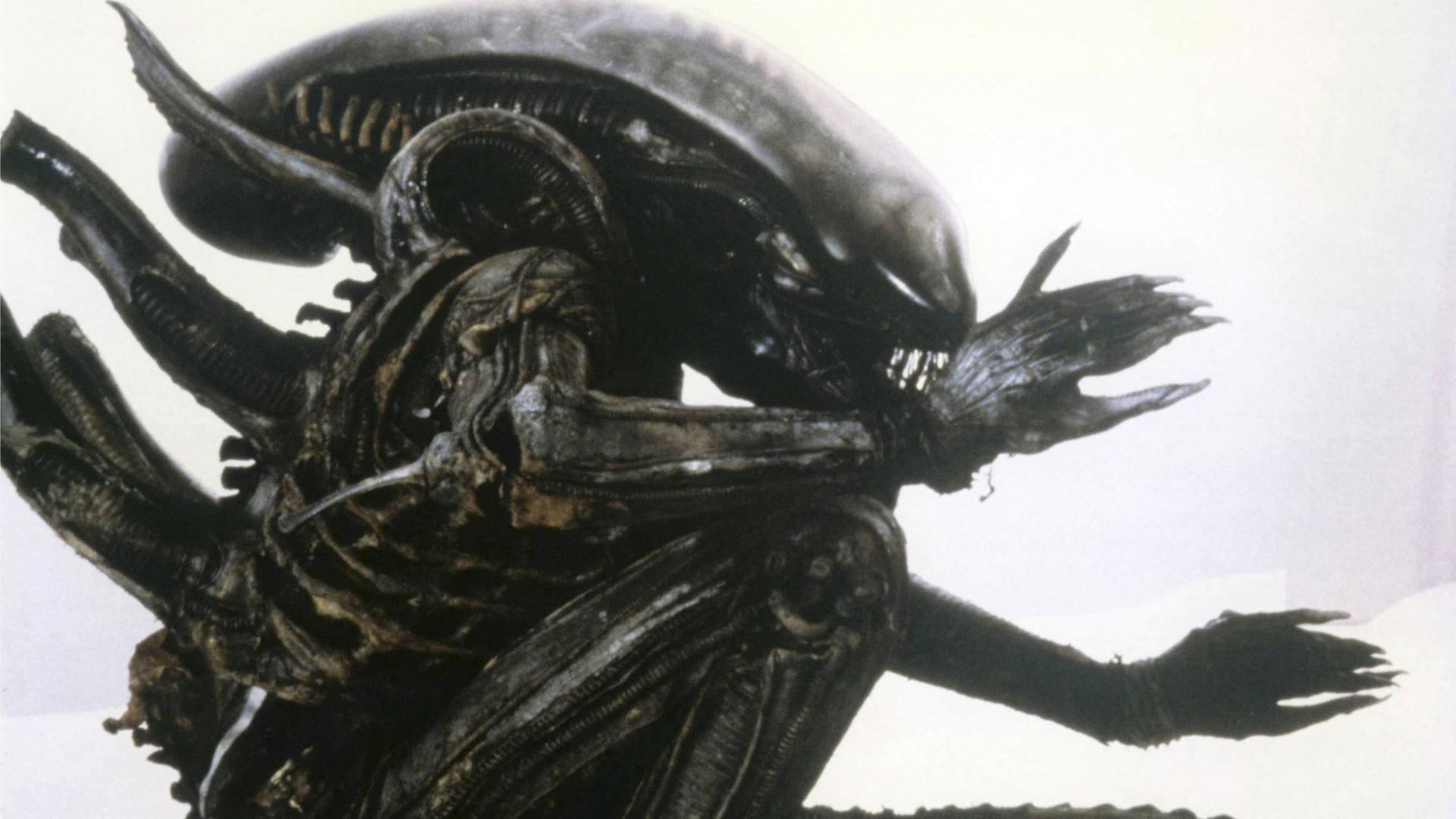 Die Nachbildung eines käferartigen, schwarzen Monsters für den Film "Alien" von Ridley Scott. Die Nachbildung eines käferartigen, schwarzen Monsters für den Film "Alien" von Ridley Scott.
