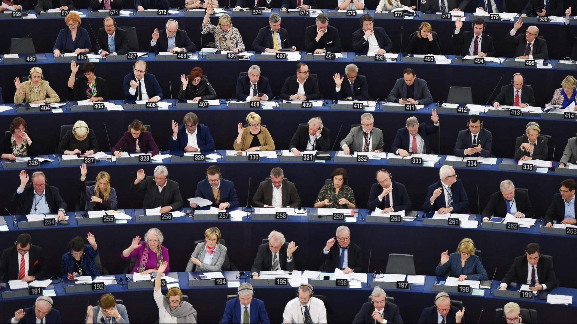 Abgeordnete im Europäischen Parlament in Straßburg
