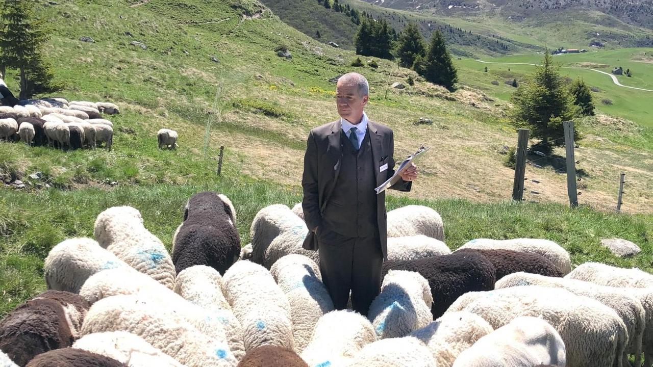 Ursus Wehrli steht auf einer Weise in den Bergen. Er ist umgeben von Schafen. In der Hand hält er ein Klemmbrett. Ursus Wehrli steht auf einer Weise in den Bergen. Er ist umgeben von Schafen. In der Hand hält er ein Klemmbrett.