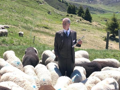 Ursus Wehrli steht auf einer Weise in den Bergen. Er ist umgeben von Schafen. In der Hand hält er ein Klemmbrett.