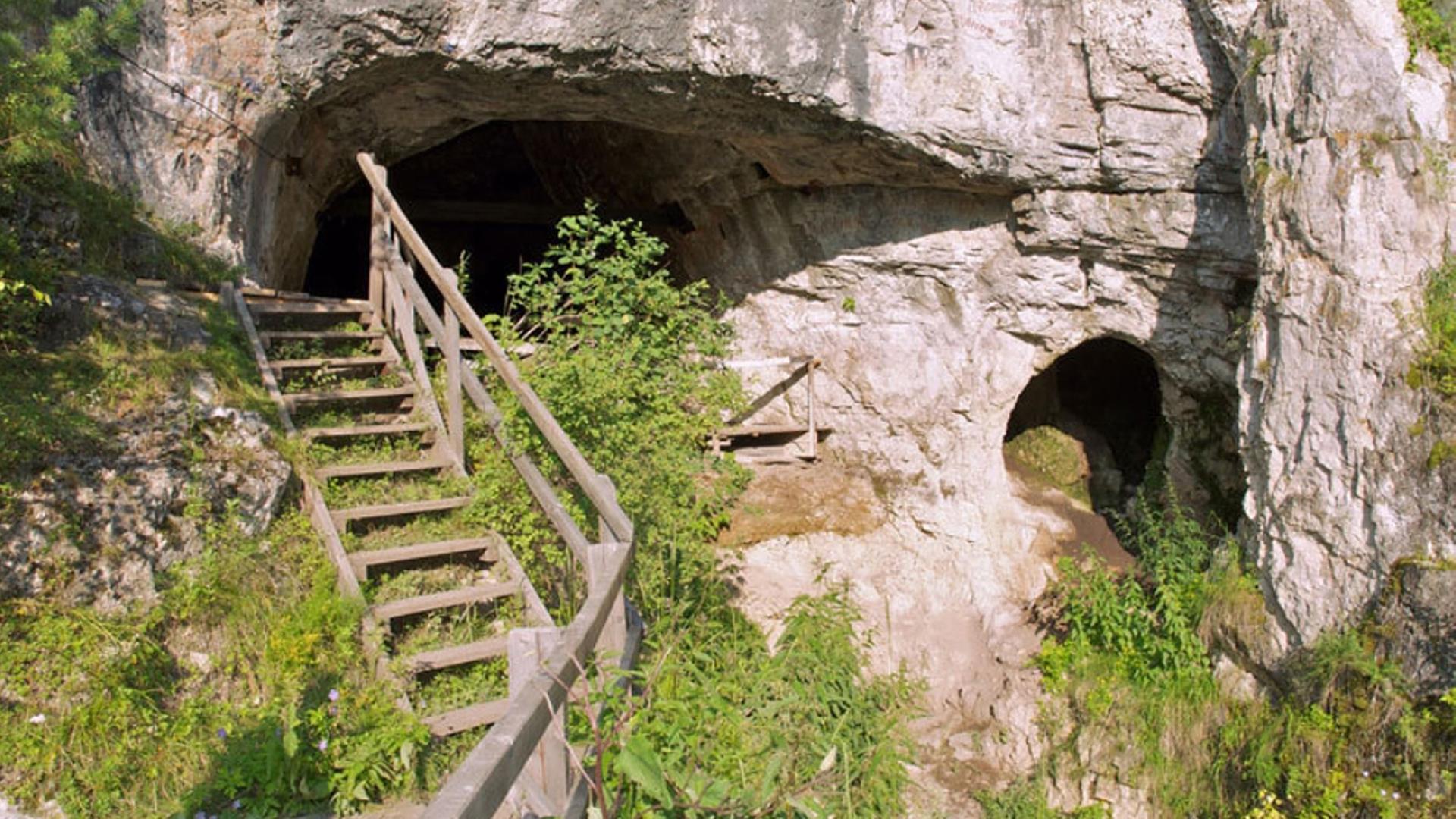 Eine Holztreppe führt in ein graues, mit zum Teil grünen Pflanzen bewachsenes Felsgebilde Eine Holztreppe führt in ein graues, mit zum Teil grünen Pflanzen bewachsenes Felsgebilde