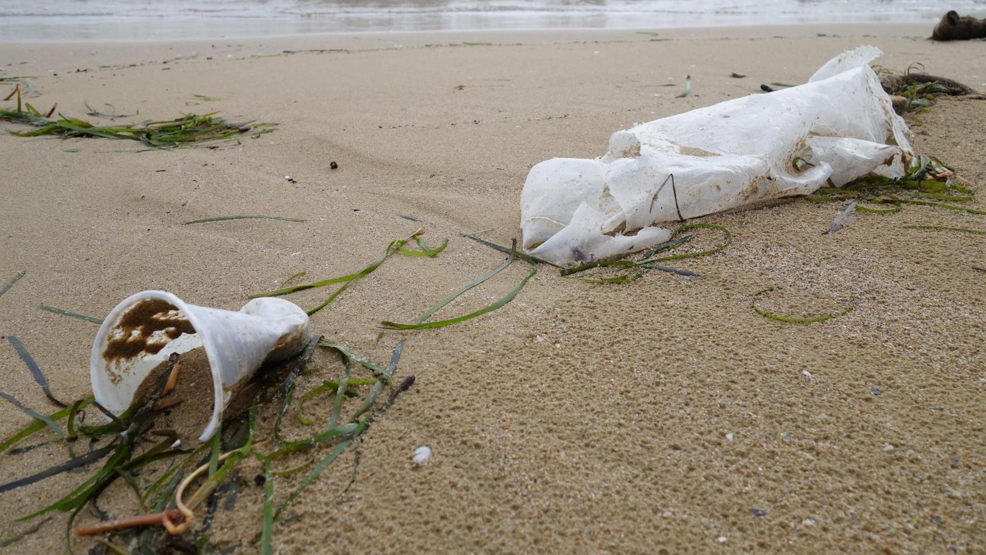 Plastikmüll am Strand Plastikmüll am Strand