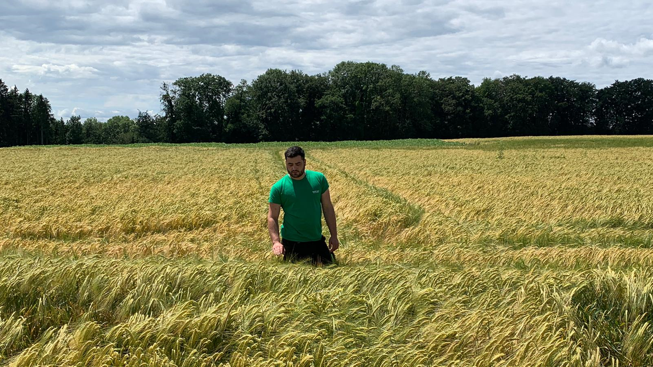 Ein dunkelhaariger Mann mit grünem T-Shirt steht in einem Kornfeld. Ein dunkelhaariger Mann mit grünem T-Shirt steht in einem Kornfeld.