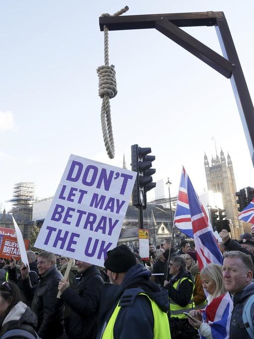 Demonstranten sehen sich um den Brexit betrogen und haben neben Flaggen und Schildern einen Galgen mitgebracht.
