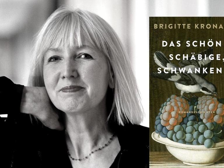 Buchcover: Brigitte Kronauer: "Das Schöne, Schäbige, Schwankende"