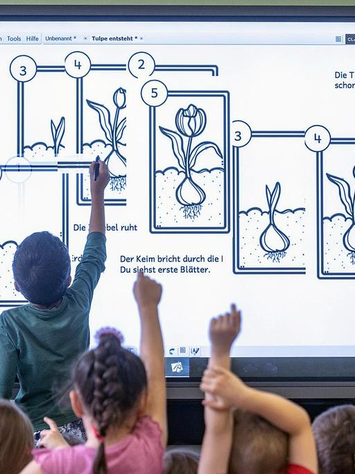 Schüllerinnen und Schüler einer Grundschule zeigen auf eine Schultafel