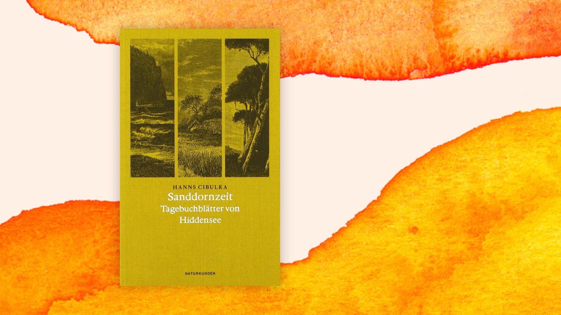 "Sanddornzeit. Tagebuchblätter von Hiddensee"von Hanns Cibulka "Sanddornzeit. Tagebuchblätter von Hiddensee"von Hanns Cibulka