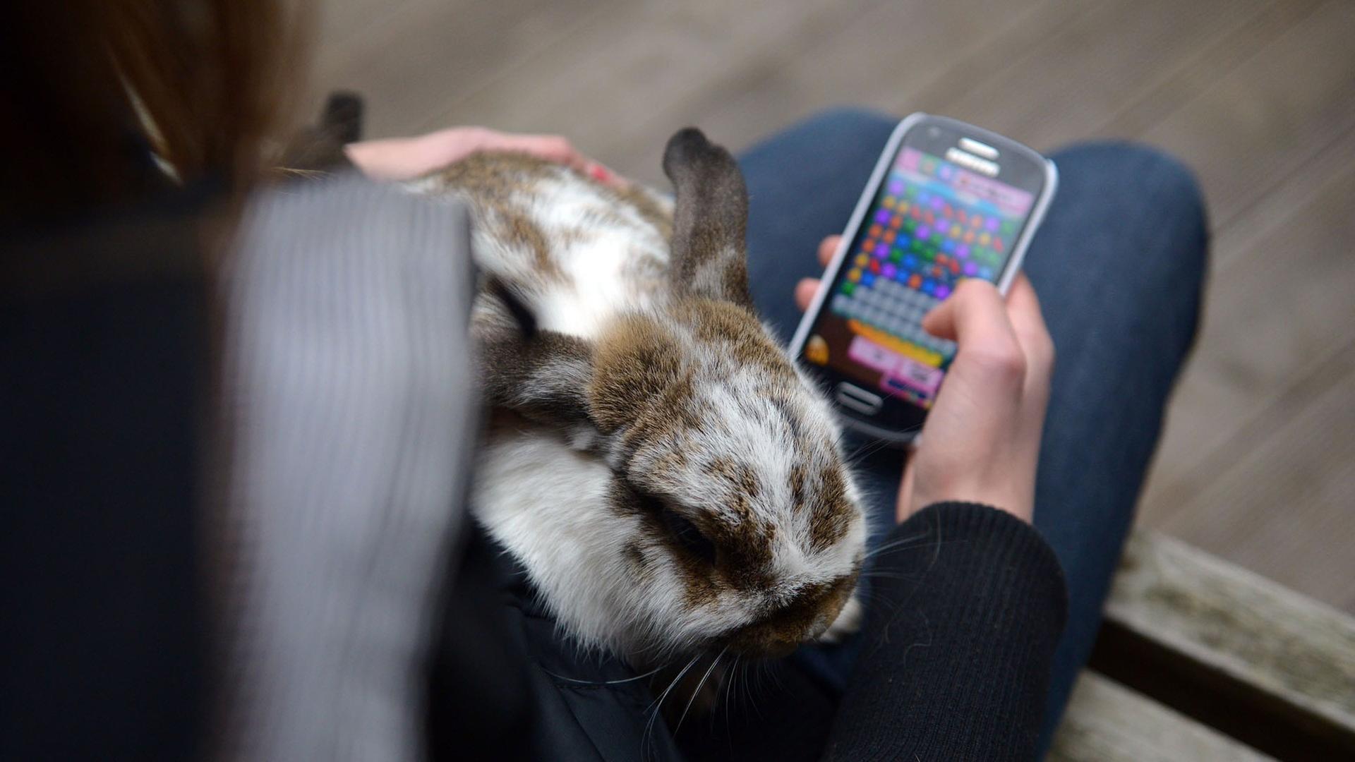 Eine 13-jährige Jugendliche spieltauf ihrem Smartphone das Spiel "Candy Crush". Eine 13-jährige Jugendliche spieltauf ihrem Smartphone das Spiel "Candy Crush".