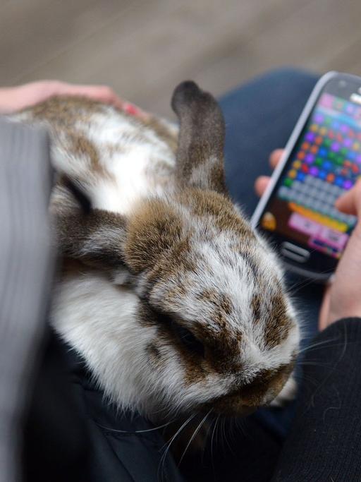 Eine 13-jährige Jugendliche spieltauf ihrem Smartphone das Spiel "Candy Crush".