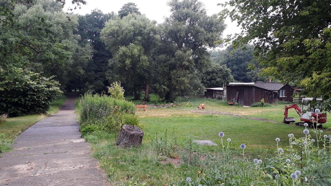 Ansicht des Grundstücks am Seeufer mit viel Grün und kleinen Holzhütten.