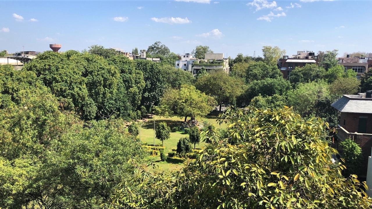 Ein blauer Himmel mit vereinzelten Schäfchenwolken über einem sehr grünen Park mit vielen Laubbäumen. Ein blauer Himmel mit vereinzelten Schäfchenwolken über einem sehr grünen Park mit vielen Laubbäumen.