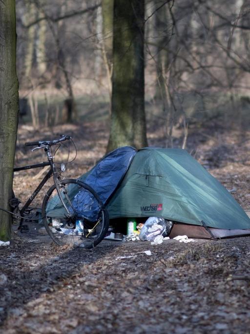 In einem Wald steht ein kleines blau-grünes Zelt, daneben ist ein Fahrrad an einen Baum gelehnt.