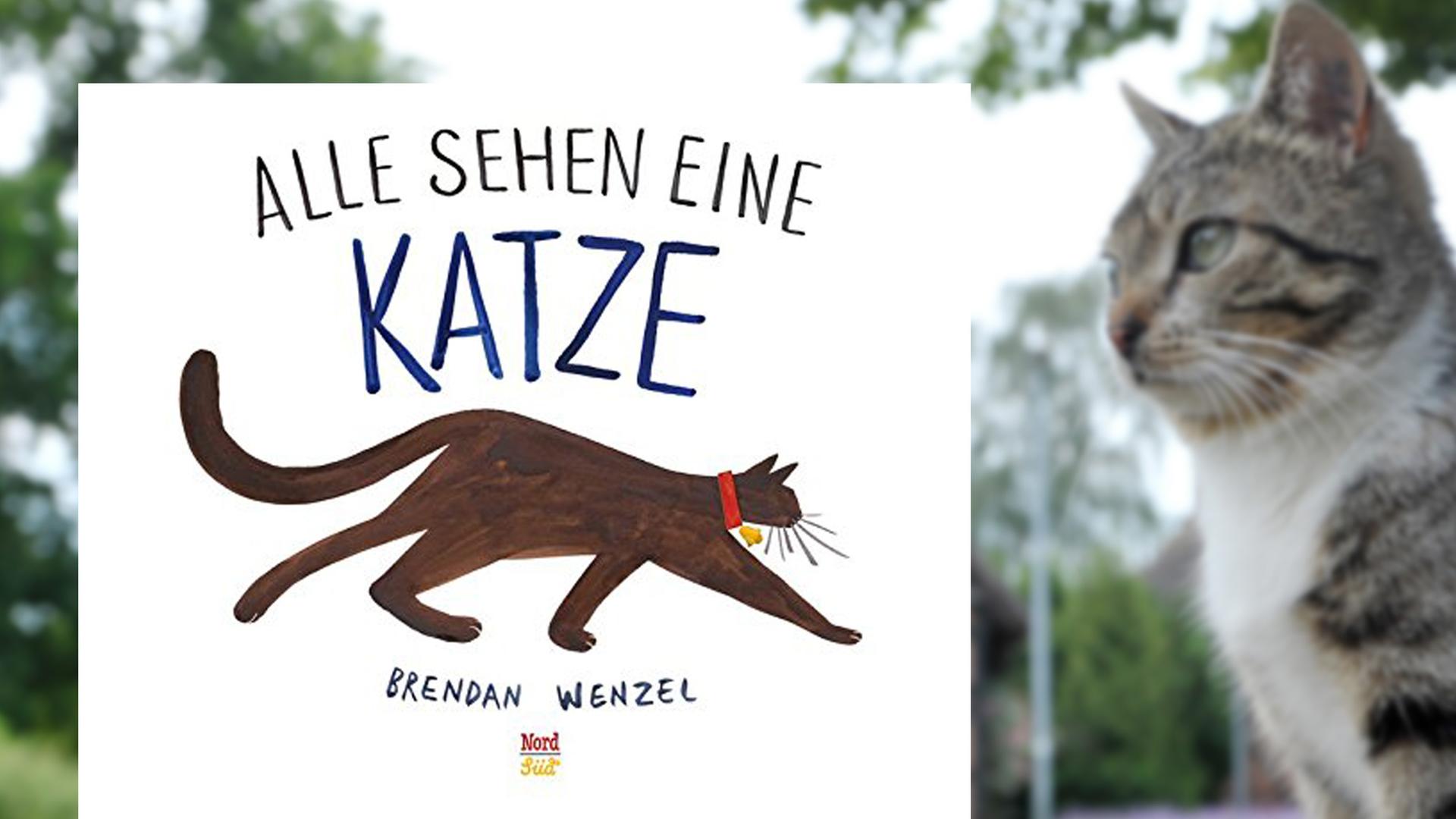Buchcover "Alle sehen eine Katze" von Brendan Wenzel, im Hintergrund eine Katze auf einem Dorfplatz Buchcover "Alle sehen eine Katze" von Brendan Wenzel, im Hintergrund eine Katze auf einem Dorfplatz