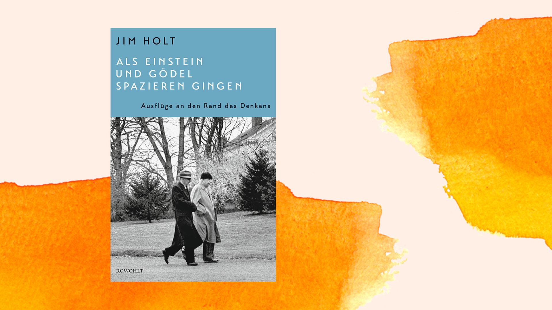 Buchcover von Jim Holt: "Als Einstein und Gödel spazieren gingen". Buchcover von Jim Holt: "Als Einstein und Gödel spazieren gingen".