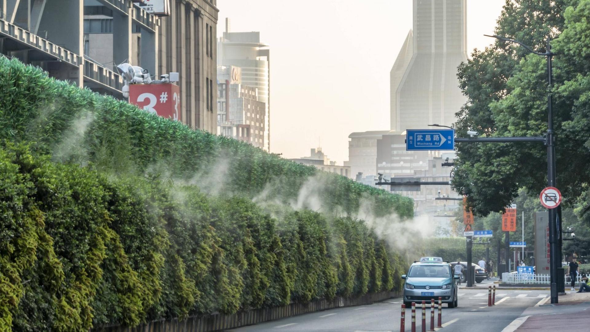 Eine Wand mit grünen Pflanzen an einem Rohbau in Shanghai Eine Wand mit grünen Pflanzen an einem Rohbau in Shanghai