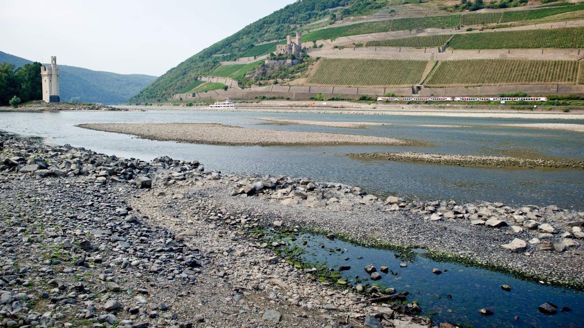 Blick auf Kiesbetten im Rhein mit Niedrigwasser, im Hintergrund Weinberge und der Binger Mäuseturm.