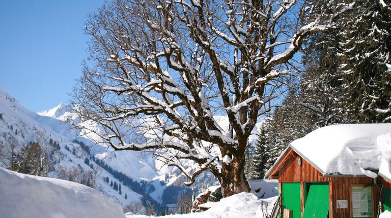 Die Schwarzenberghütte im Allgäu. Die Schwarzenberghütte im Allgäu.