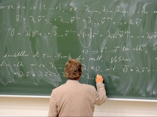 Formeln stehen auf einer schlecht gewischten Tafel am 29.10.2012 in Berlin in einer Vorlesung "Mathematik für Chemiker" im Walter-Nernst-Haus auf dem Campus Adlershof der Humboldt-Universität.