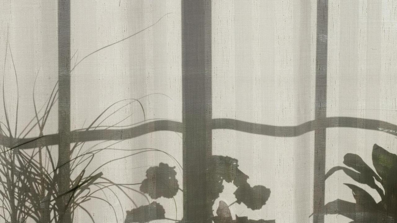 Durch einen geschlossenen Vorhang sind die Silhouetten verschiedener Pflanzen auf einem Fensterbrett zu sehen. Durch einen geschlossenen Vorhang sind die Silhouetten verschiedener Pflanzen auf einem Fensterbrett zu sehen.