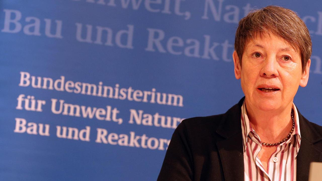 Bundesministerin für Bau- und Umwelt, Barbara Hendricks (SPD), gibt im Januar 2016 im Bundesumweltministerium in Berlin ein Statement zur Förderung bezahlbaren Wohnraums ab. 