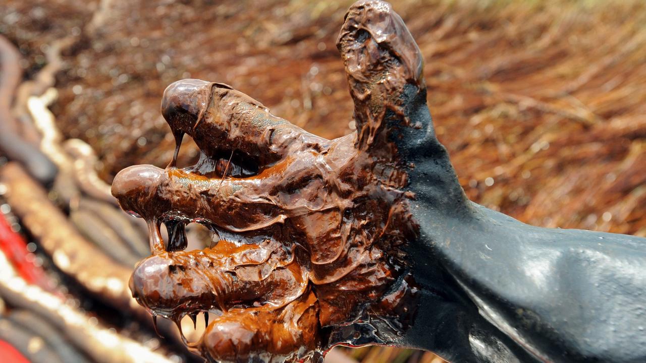 Durch die Havarie der Bohrplattform Deepwater Horizon freigesetztes Öl klebt an einem Handschuh Durch die Havarie der Bohrplattform Deepwater Horizon freigesetztes Öl klebt an einem Handschuh