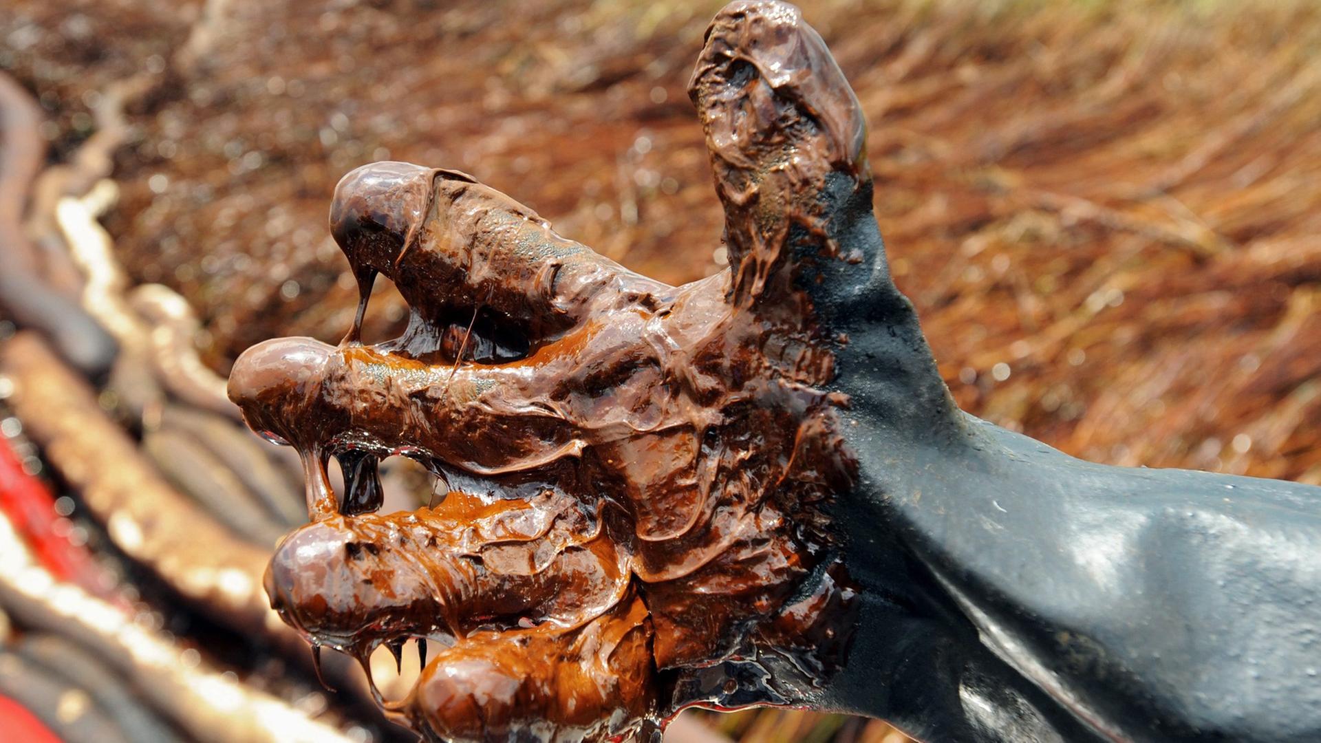 Durch die Havarie der Bohrplattform Deepwater Horizon freigesetztes Öl klebt an einem Handschuh. Durch die Havarie der Bohrplattform Deepwater Horizon freigesetztes Öl klebt an einem Handschuh.