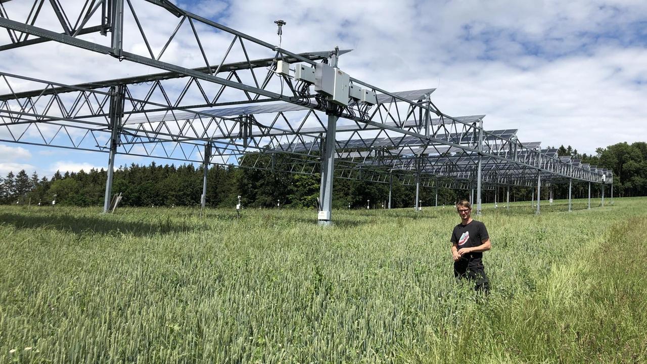 Florian Reyer, Biolandwirt, Hofgemeinschaft Heggelbach, Weizenfeld mit Agrophotovoltaikanlage Florian Reyer, Biolandwirt, Hofgemeinschaft Heggelbach, Weizenfeld mit Agrophotovoltaikanlage