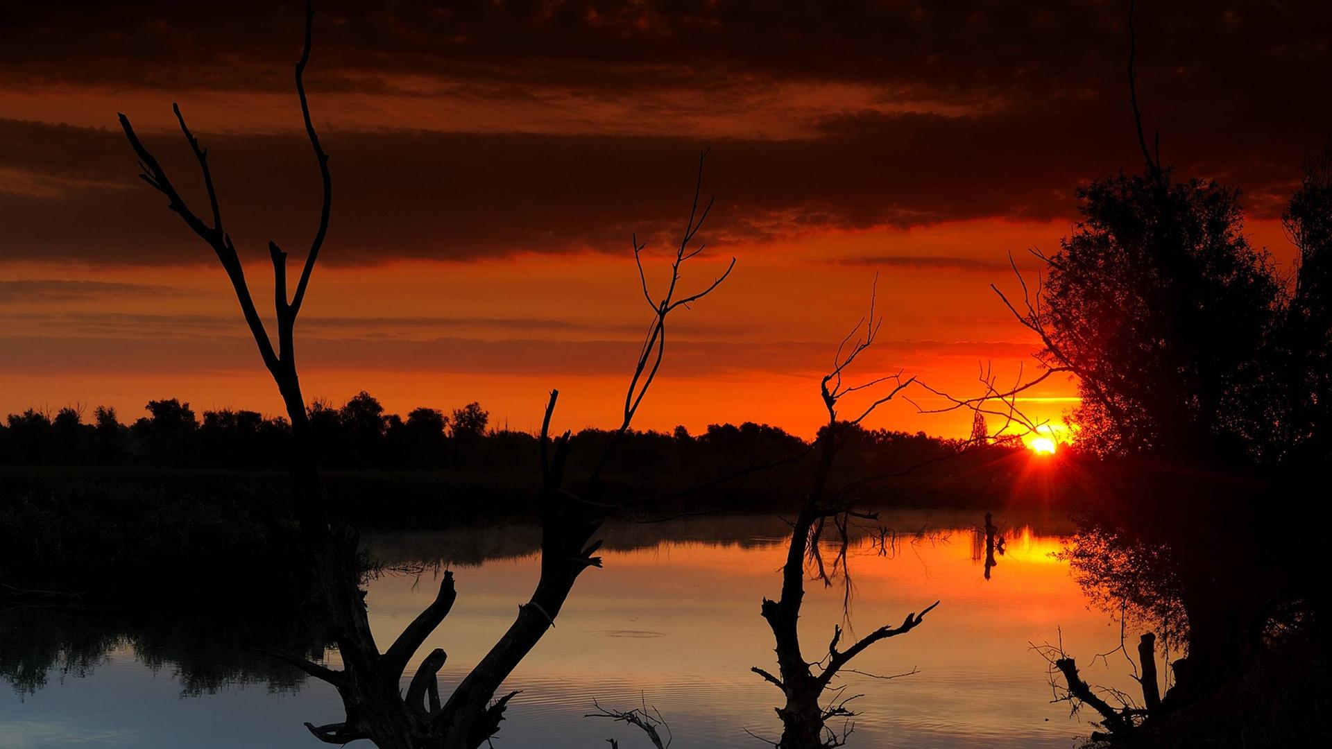 Sonnenaufgang über dem Donaudelta in Rumänien. Sonnenaufgang über dem Donaudelta in Rumänien.