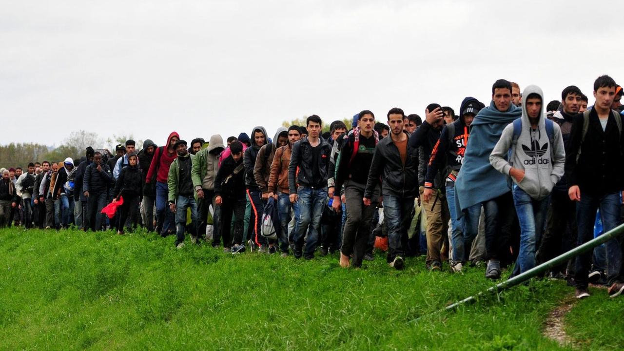 Viele Flüchtlinge stehen Schlange auf einer grünen Wiese. Viele Flüchtlinge stehen Schlange auf einer grünen Wiese.