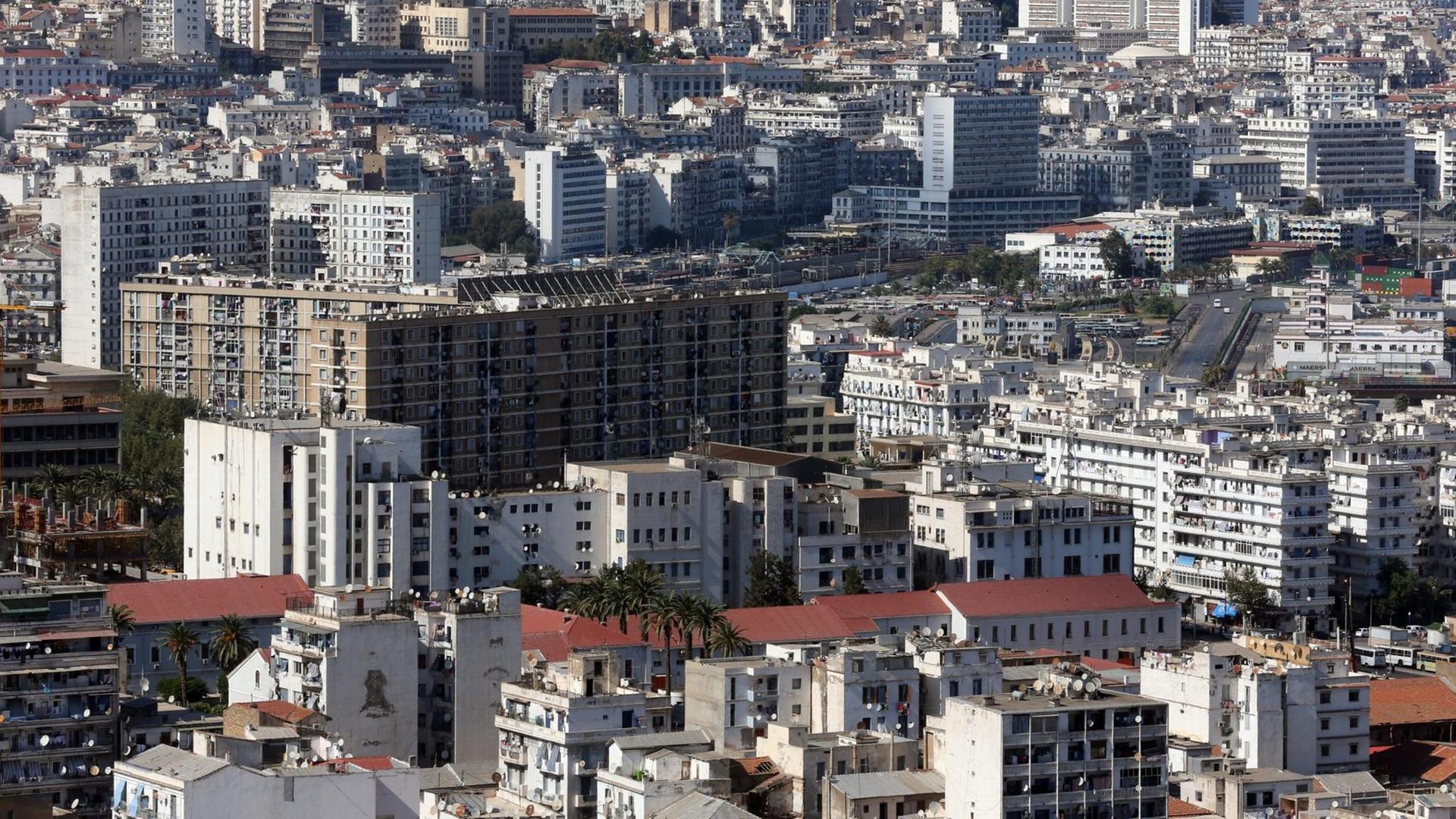 Blick über Algiers Blick über Algiers