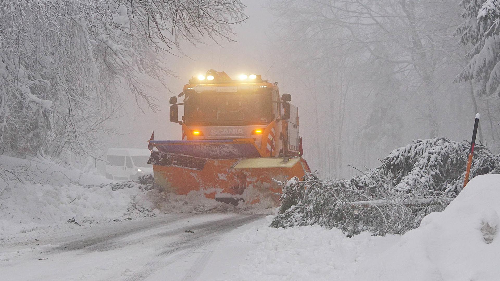 Ein Schneepflug räumt eine Straße, rechts liegt ein umgestürzter Nadelbaum.