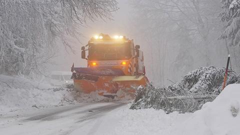 Ein Schneepflug räumt eine Straße, rechts liegt ein umgestürzter Nadelbaum.