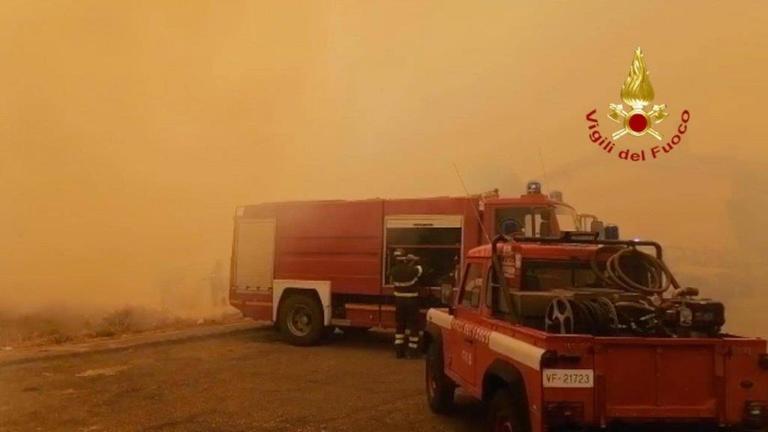 Feuer-Wehr-Autos und Rauch von einem Wald-Brand Feuer-Wehr-Autos und Rauch von einem Wald-Brand