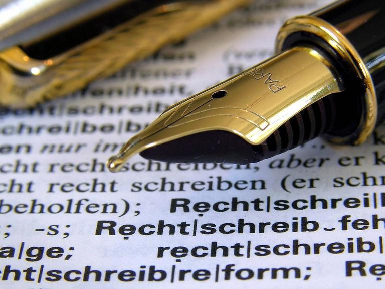 Ein Füller liegt auf einem Wörterbuch