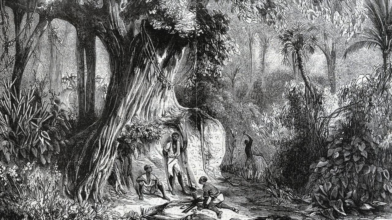 Im Vordergrund Sklaven im Wald, im Hintergrund Sklavenjäger. Im Vordergrund Sklaven im Wald, im Hintergrund Sklavenjäger.