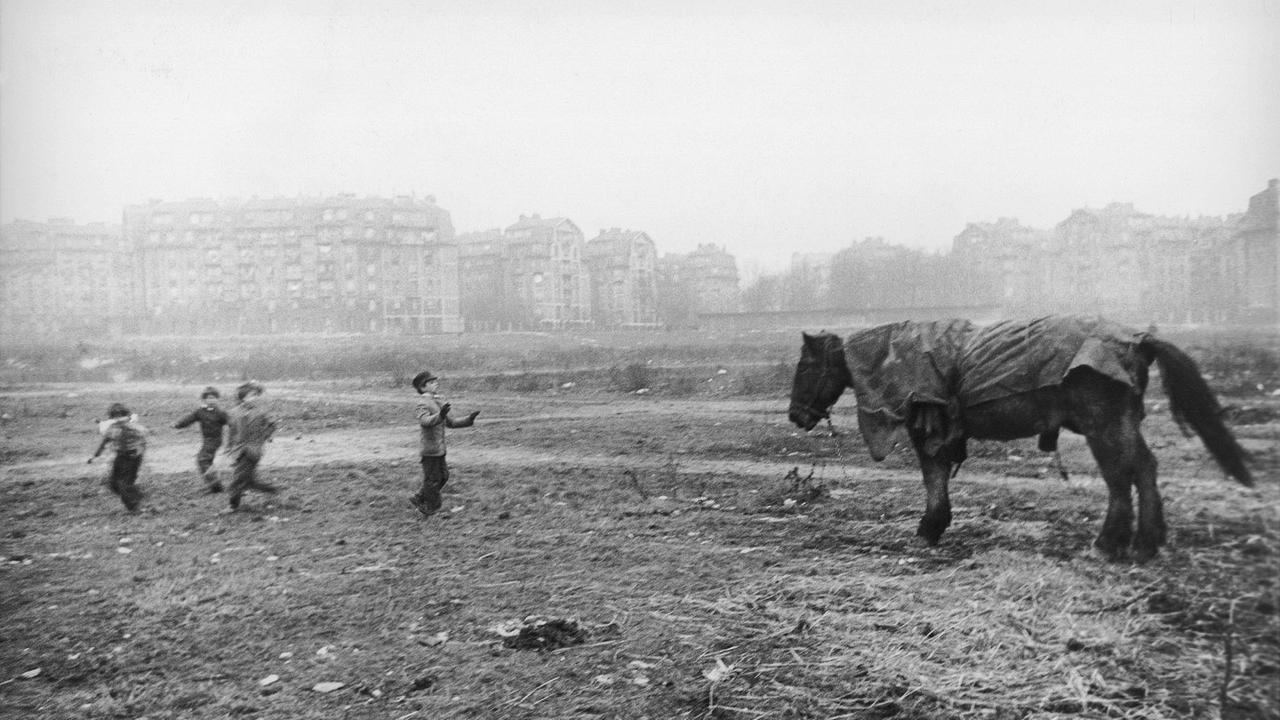 1952, schwarz-weiß-Fotografie einer kargen Landschaft, im Hintergrund Wohnhäuser, im Vordergrund spielende Kinder und ein Pferd 1952, schwarz-weiß-Fotografie einer kargen Landschaft, im Hintergrund Wohnhäuser, im Vordergrund spielende Kinder und ein Pferd